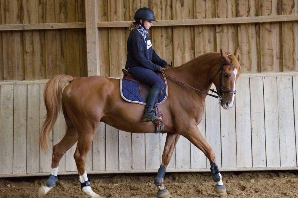 IMG 4541 1024x682 1